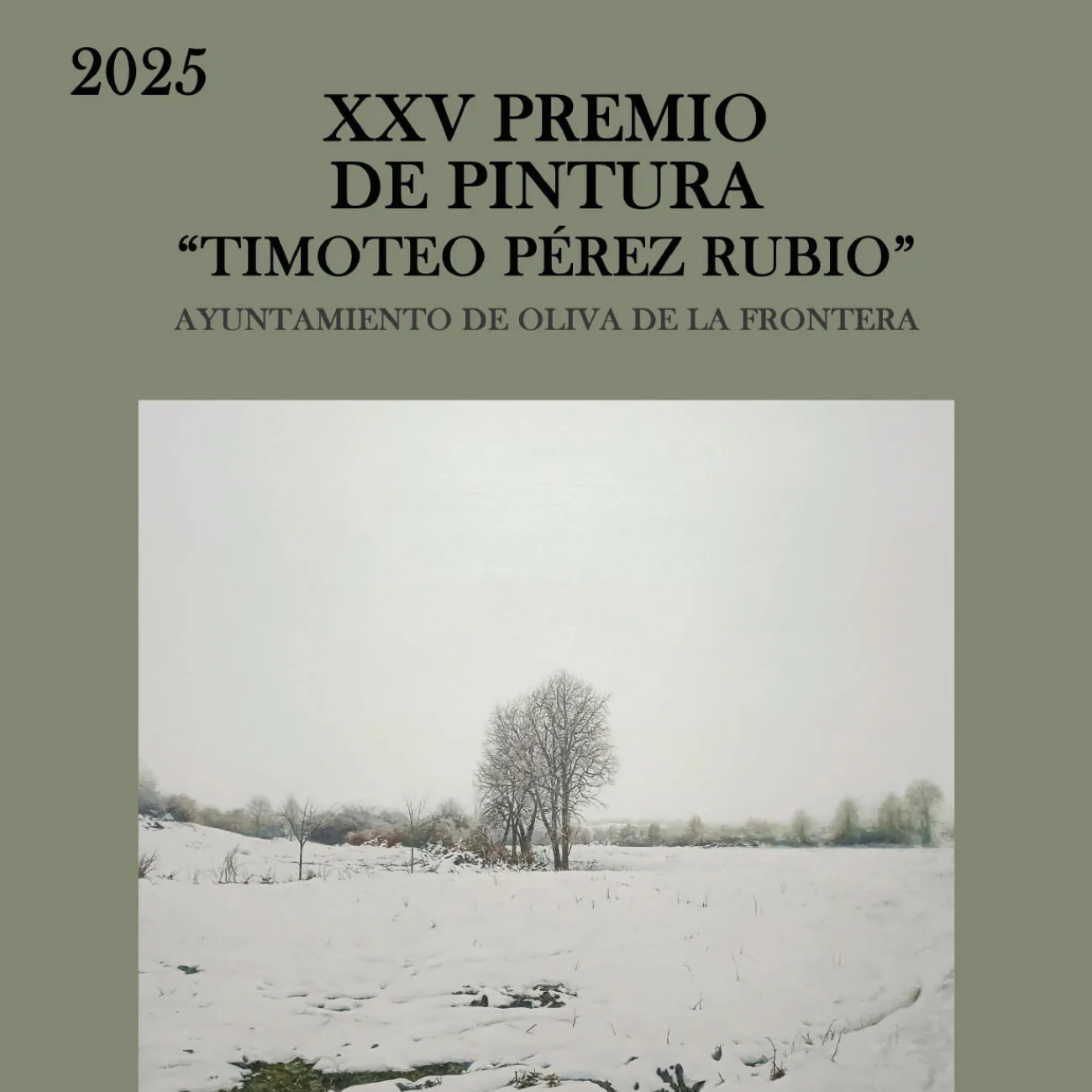 25th Timoteo Pérez Rubio Painting Award