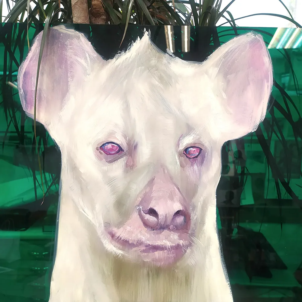 Albino 3